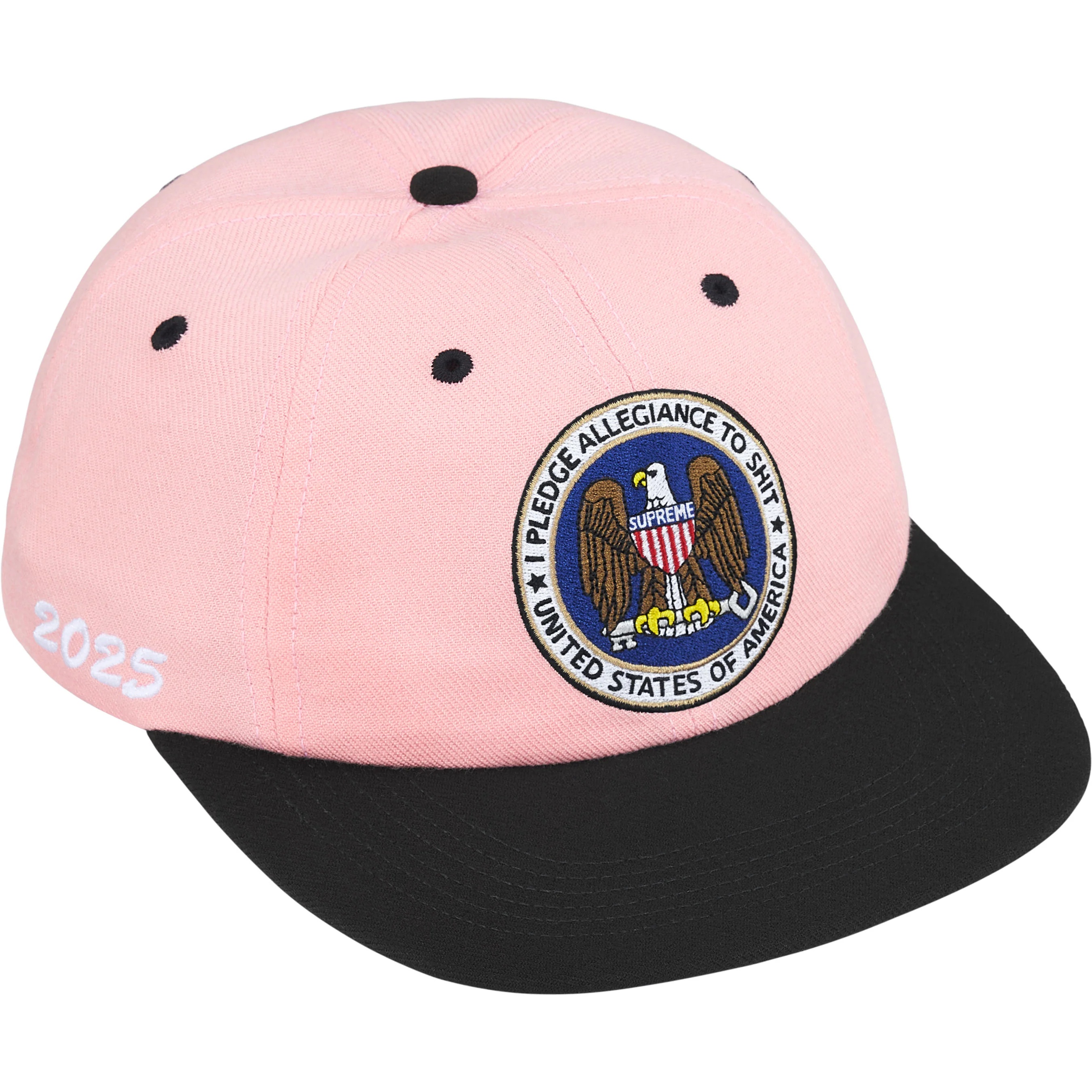 Pledge Allegiance 6-Panel view 6